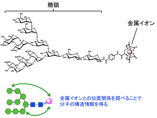 fig-1.jpg