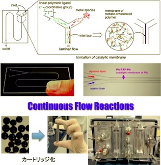 Continuous Flow Reactions