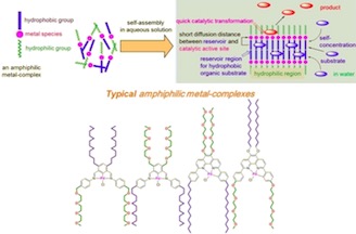 Programmed Self-Assembled Catalysts