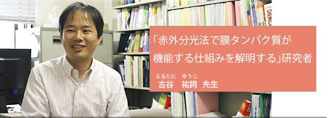 「赤外分光法で膜タンパク質のが機能する仕組みを解明する」研究者（古谷祐詞先生）