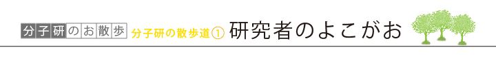 分子研の散歩道１　研究者のよこがお