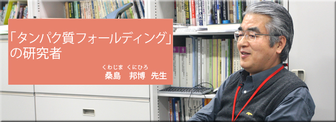 「タンパク質フォールディング」の研究者（桑島邦博先生）