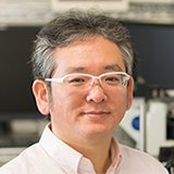 IINO, Ryota 