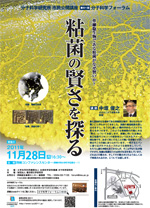 111128.jpg