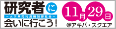 banner04.png