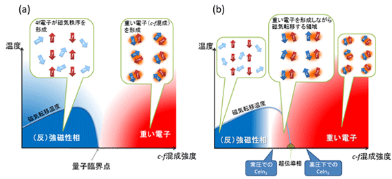 図１．重い電子系希土類化合物の磁性を持った状態[（反）強磁性相]と重い電子状態の関係を示したドニアック相図。(a)は近藤崩壊模型での描像，(b)はスピン密度波模型での描像。挿入図は，伝導電子(c)と4f電子(f)のスピンを模式的に表したものであり，重い電子状態では，重い電子系の起源であるcとfの混成(c-f混成)を形成する。近藤崩壊模型ではc-f混成が磁性の現れる(反)強磁性相で消えるのに対し，スピン密度波模型では，c-f混成が(反)強磁性相でも残っているところに違いがある。今回測定したインジウム化セリウムは，スピン密度波模型に合うと考えられる。